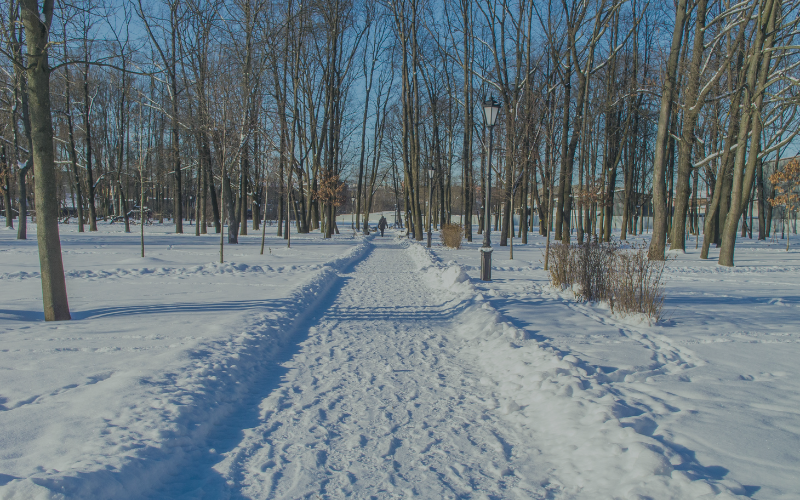 Contrainte thermique : le travail au froid